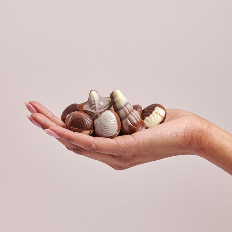 Belgian Seashell Chocolates